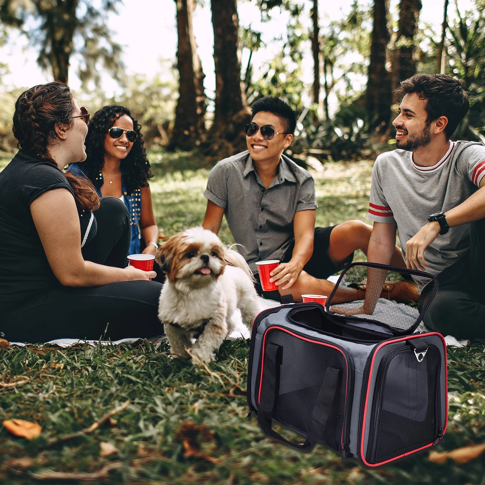 GOOPAWS Soft-Sided Travel Small Dog & Cat Carrier Bag - Image 14
