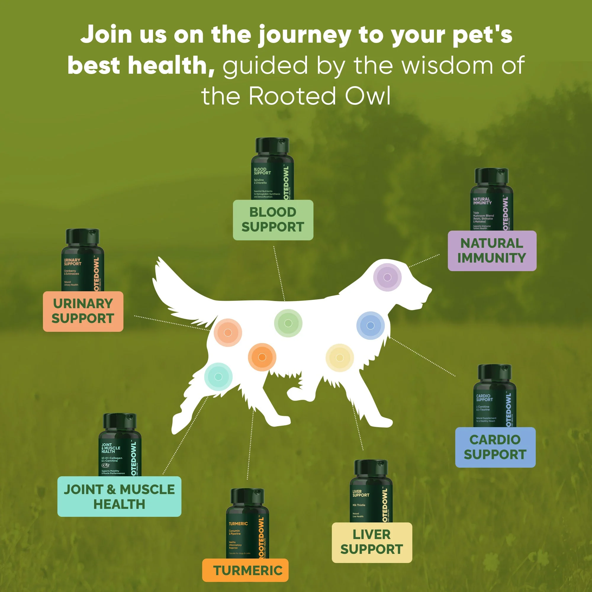 Joint & Muscle Health (Cats & Small Dogs) - Image 12