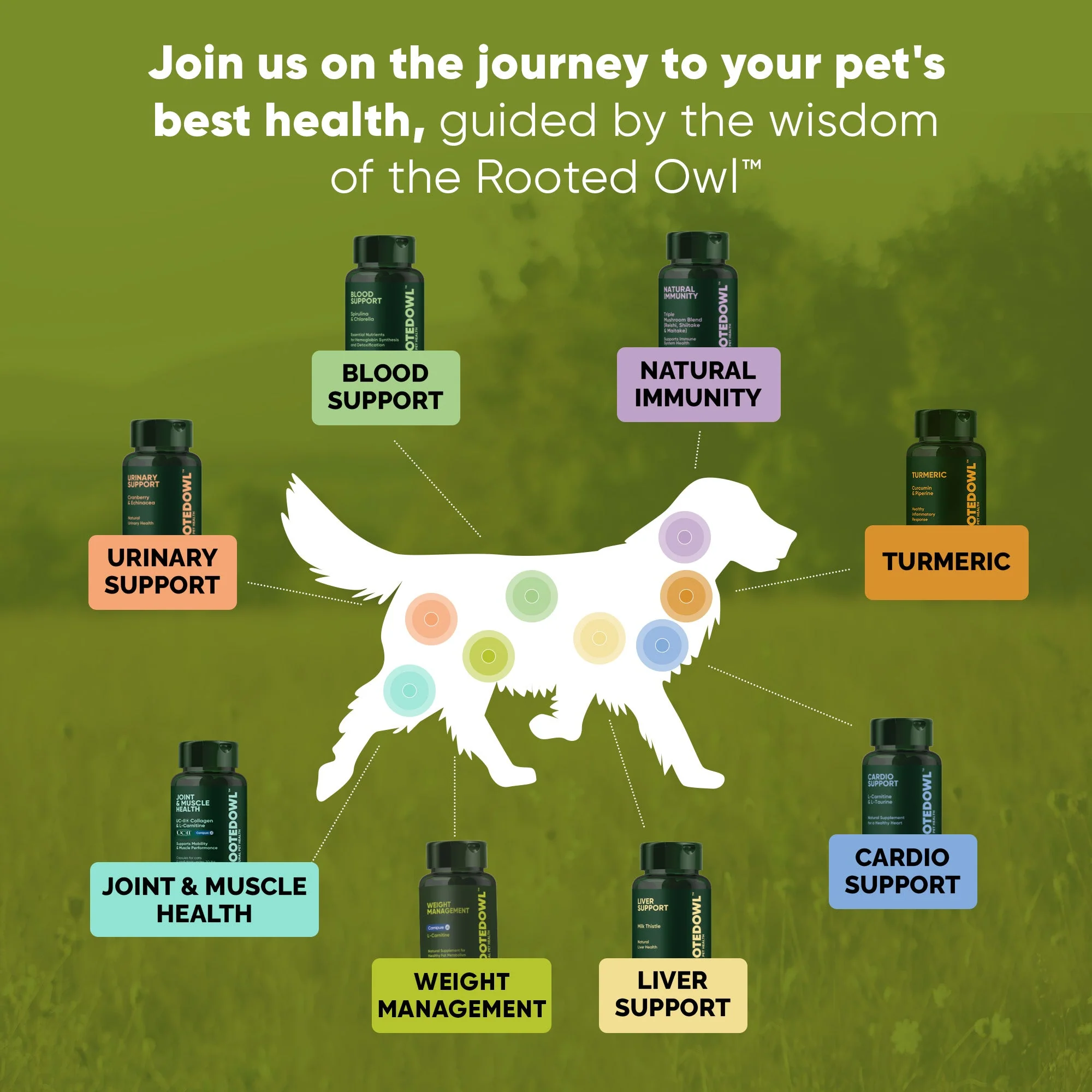 Joint & Muscle Health (Cats & Small Dogs) - Image 23