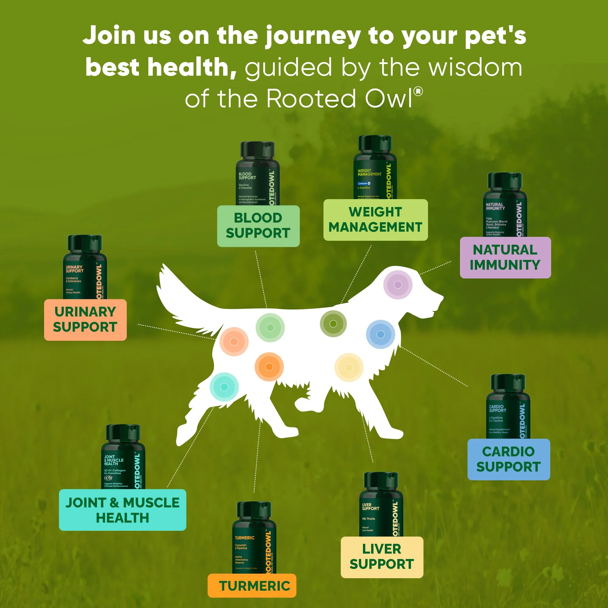 Joint & Muscle Health (Cats & Small Dogs) - Image 36