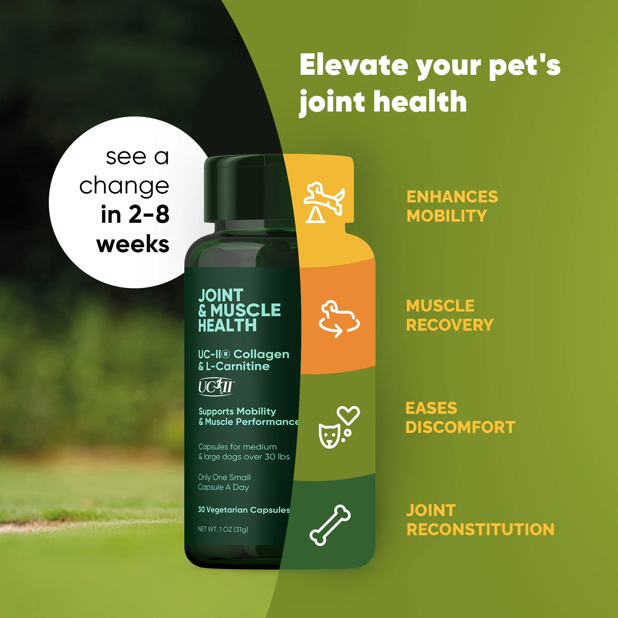 Joint & Muscle Health (Medium & Large Dogs) - Image 8