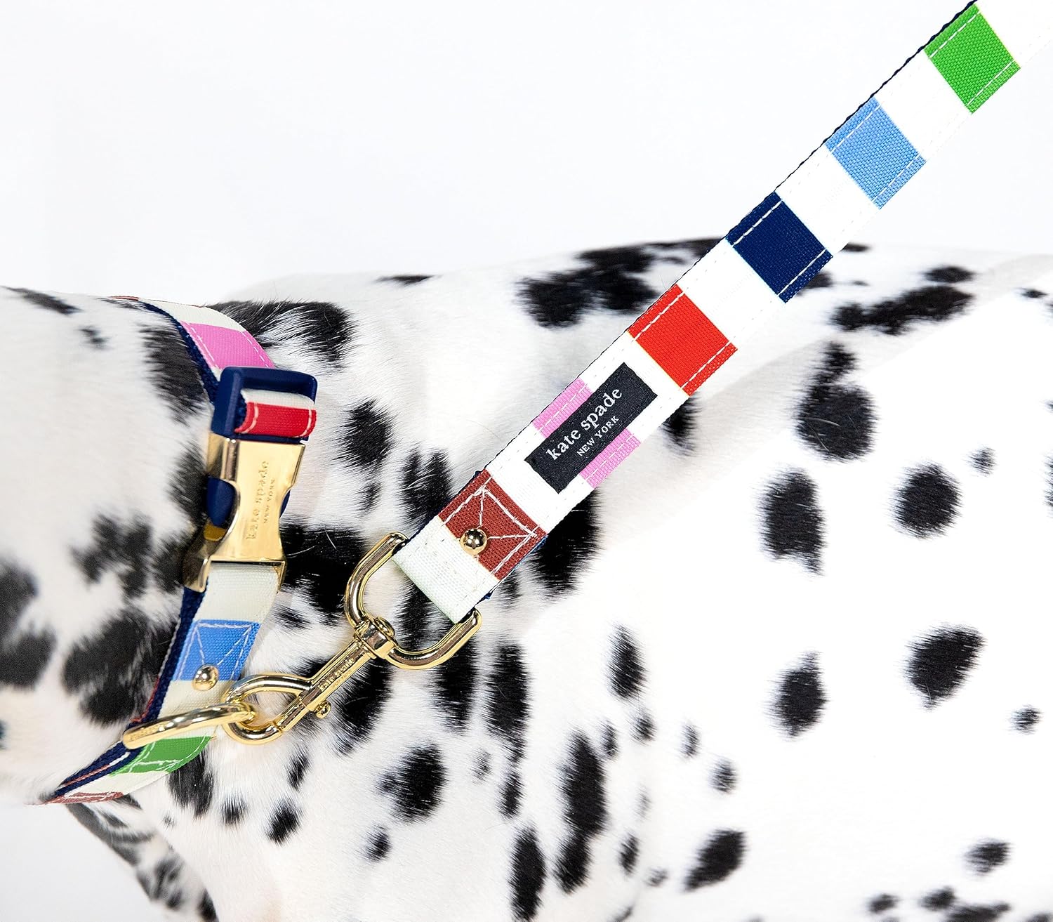 Kate Spade Adventure Stripe Small Leash - Image 5