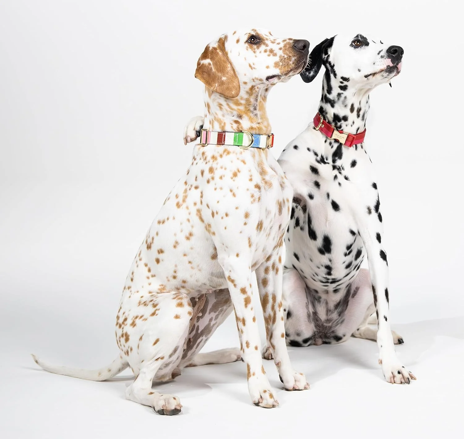 Kate Spade Red and Pink Colorblock Collar - Image 5