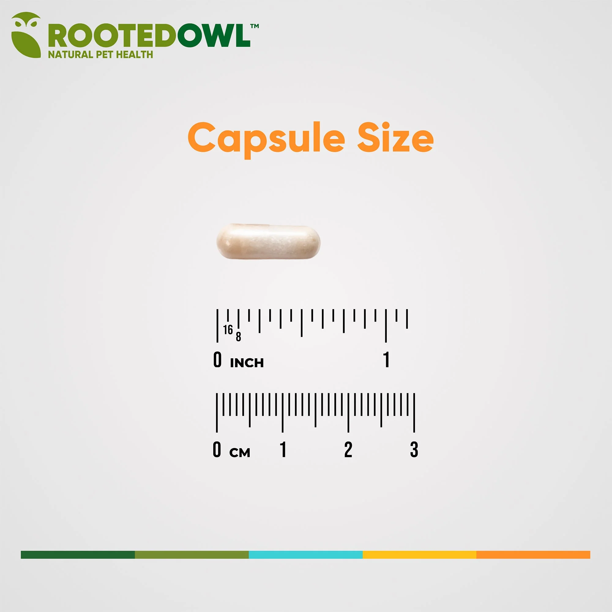 Liver Support - Image 15