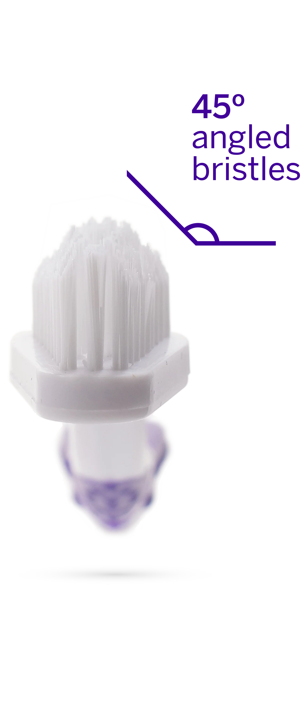 Professional Toothpaste Rotisserie Chicken Small & Professional Pet Toothbrush - Image 5