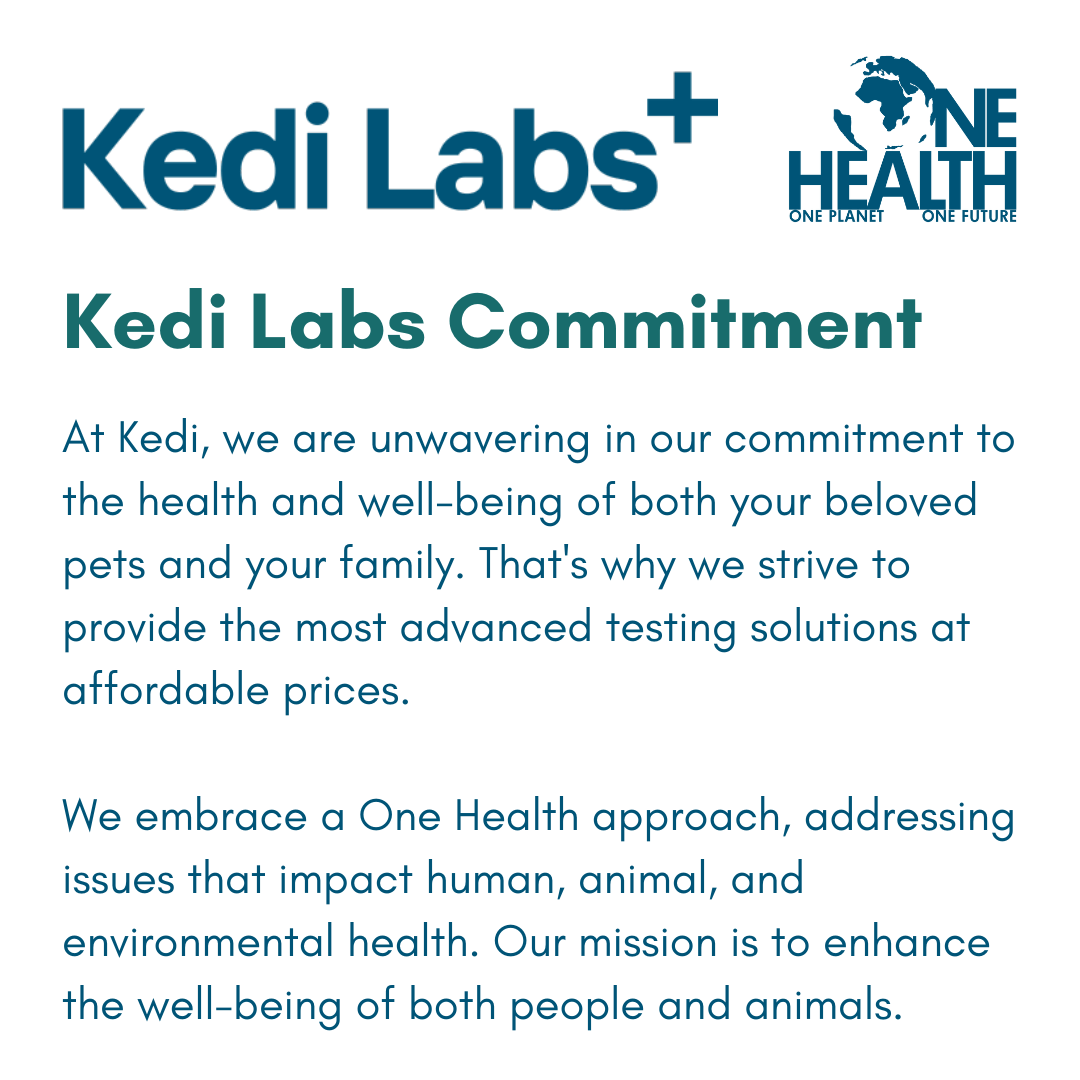Respiratory Infection Check Mail-In Test for Cats (PCR) - Image 6
