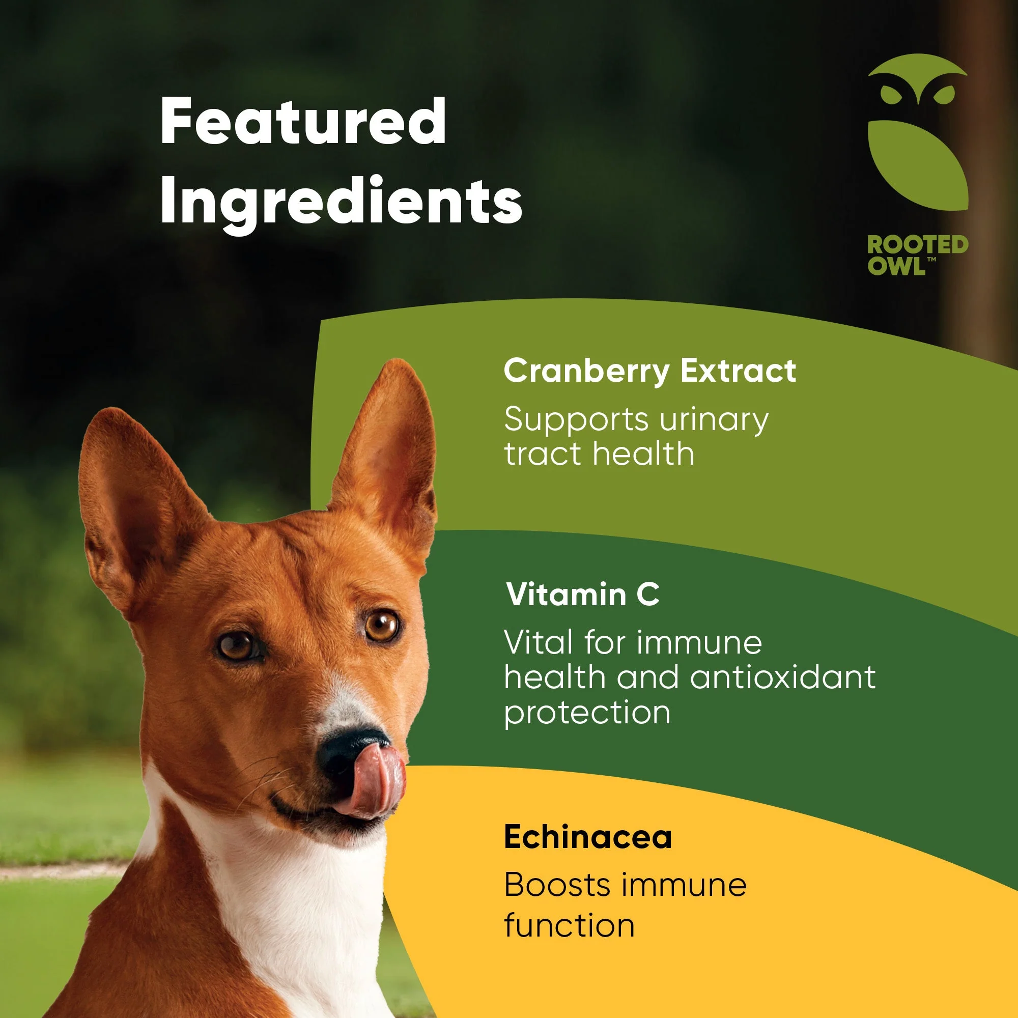 Urinary Support - Image 4